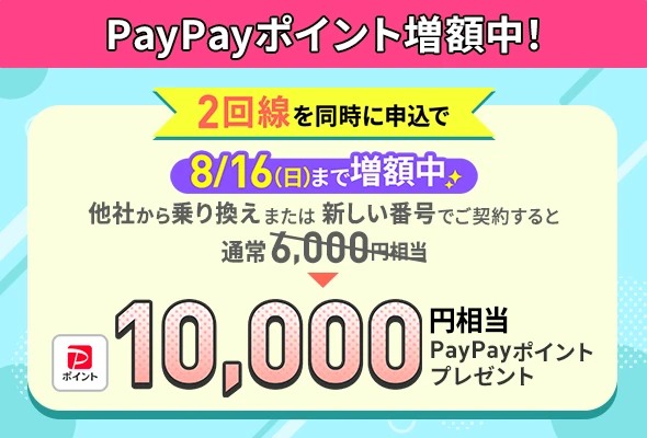 2回線まとめて申し込みでPayPayポイントプレゼントキャンペーン