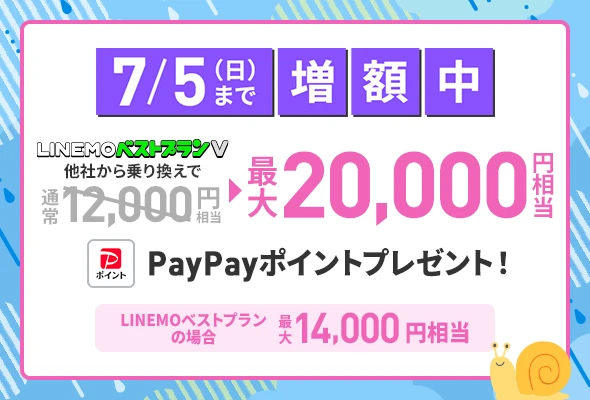 PayPay増額キャンペーン(2026年6月開催)
