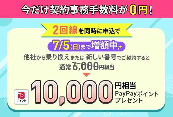 2回線まとめて申し込みでPayPayポイントプレゼントキャンペーン